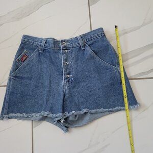 Vintage Z Cavarrici Blue Denim High-Waisted Shorts SM/Med